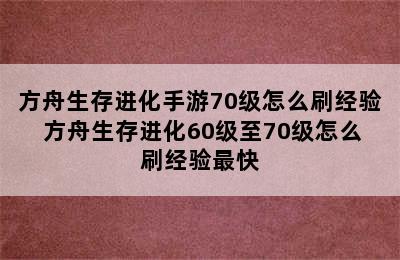 方舟生存进化手游70级怎么刷经验 方舟生存进化60级至70级怎么刷经验最快